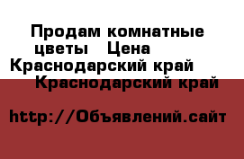 Продам комнатные цветы › Цена ­ 500 - Краснодарский край  »    . Краснодарский край